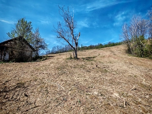 Teren de vânzare în suprafață de 5.5 ha  - imagine 4