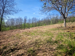 Teren de vânzare în suprafață de 5.5 ha 