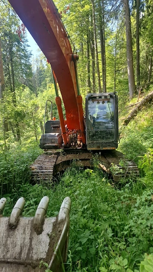 Excavator hitachi si cap procesor forestier  - imagine 7