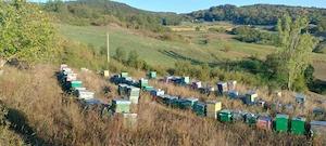 Tren cu intravilan pentru proiecte  - imagine 3