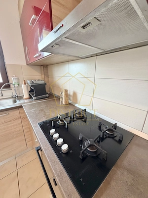 Apartament cu 2 camere mobilat si utilat | Etajul 2 | Giroc, langa Penny. - imagine 5