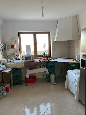Casa individuala si curte in Davinci/ PET FRIENDLY - imagine 3
