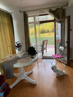 Casa individuala si curte in Davinci/ PET FRIENDLY - imagine 12