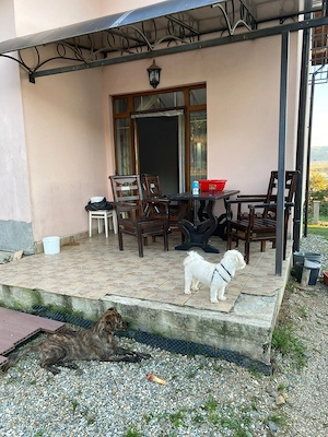 Casa individuala si curte in Davinci/ PET FRIENDLY - imagine 18