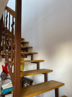 Casa individuala si curte in Davinci/ PET FRIENDLY - imagine 19