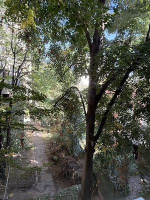 Ap 1 Cam | Buc Separata | Complex | Zona Linistita - imagine 10