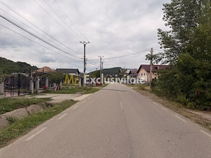 Teren pretabil unei construcții de vis - Băbana - zonă cu pădure - imagine 5
