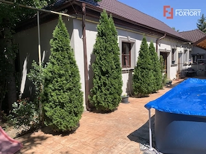 Casa individuala cu 6 camere, pretabil clinica - zona Aradului  - imagine 12