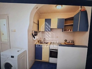 Apartament 1 camera de inchiriat, zona Dacia, Timisoara - imagine 3