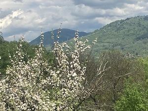 Teren intravilan de vânzare, panoramă unică și acces imediat la facilități