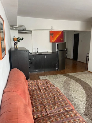 Ap. 3 camere - Păcurari (PET FRIENDLY) - imagine 5