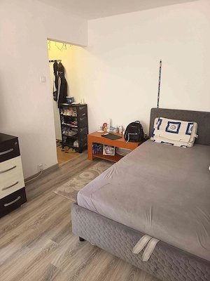 2 camere Valea Rosie 2 4 liber. - imagine 6