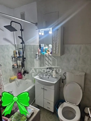 Apartament cu 1 camera, de vanzare, et 1, zona Dorobantilor, Timisoara - imagine 4