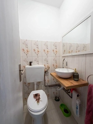 Apartament 3 camere, spațios, etaj 2, zona Lipovei - imagine 8