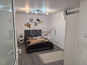 Apartament 2 camere, zona centrala - imagine 7