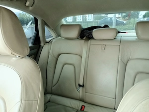 Audi a4 2010 diesel 2.0 - imagine 5