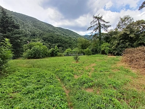 Baile Herculane, De Vanzare Vila Miramonte, 3204 Mp. Teren Intravilan, In Centrul Orasului - imagine 6