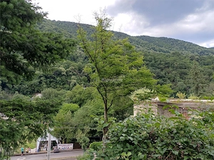 Baile Herculane, De Vanzare Vila Miramonte, 3204 Mp. Teren Intravilan, In Centrul Orasului - imagine 17