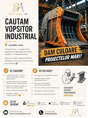Vopsitor Industrial 