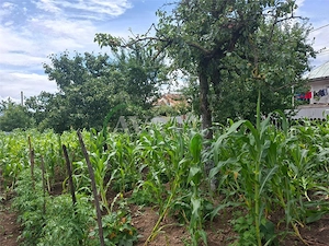 Teren intravilan 1000mp, zona Magura Sohodol - imagine 2