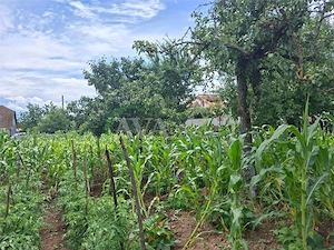 Teren intravilan 1000mp, zona Magura Sohodol - imagine 4