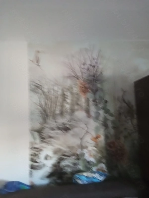 Vânzare,camera, camin