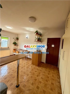 Inchiriere apartament 2 camere Timpuri Noi Tineretului - imagine 10