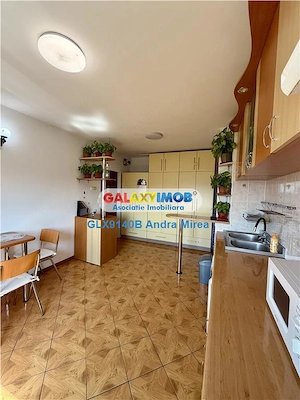 Inchiriere apartament 2 camere Timpuri Noi Tineretului - imagine 14