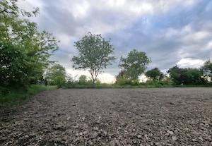 Teren intravilan 2000 mp în Dărmănești, Dâmbovița - imagine 3