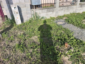Teren Sag zona Mănăstire 716 mp 57280 euro