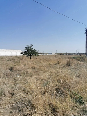 Teren extravilan arabil | Intrare in Pielesti | Zona Peugeot - imagine 5