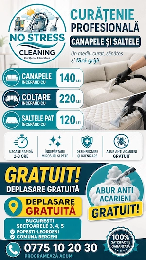 Curatare canapele, coltare si saltele