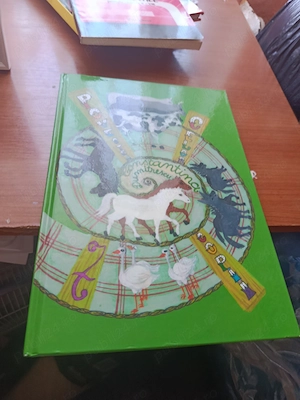 Povestea celor 7 copii