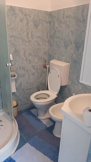 Casa mare si teren la tara Dolj Teslui - imagine 3