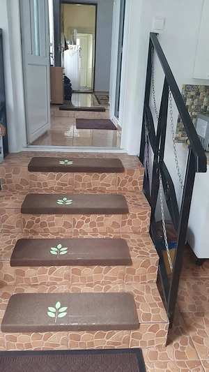 Casa mare si teren la tara Dolj Teslui - imagine 6