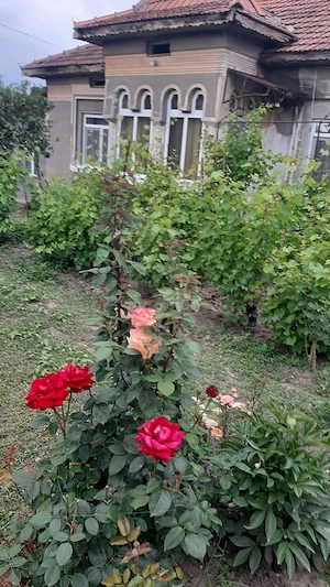 Casa mare si teren la tara Dolj Teslui - imagine 10