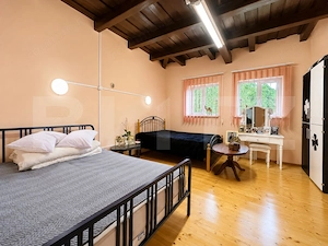 Gospodărie cu 10.900 mp teren, 3 constructii, Cainelu de Sus – 23 km Deva - imagine 4