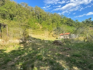 Gospodărie cu 10.900 mp teren, 3 constructii, Cainelu de Sus – 23 km Deva - imagine 15