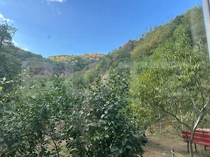 Gospodărie cu 10.900 mp teren, 3 constructii, Cainelu de Sus – 23 km Deva - imagine 10