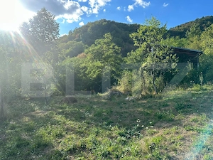 Gospodărie cu 10.900 mp teren, 3 constructii, Cainelu de Sus – 23 km Deva - imagine 13
