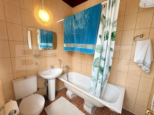 Gospodărie cu 10.900 mp teren, 3 constructii, Cainelu de Sus – 23 km Deva - imagine 9