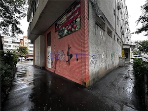 Spatiu comercial vitrat, 52mp, sos. Pacurari, zona postei - imagine 10