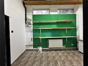 Spatiu comercial vitrat, 52mp, sos. Pacurari, zona postei - imagine 13