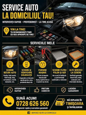 piese si accesorii auto 