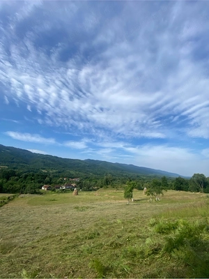 Teren intravilan de vânzare   33.070 mp   Bucova, Caraș-Severin - imagine 5