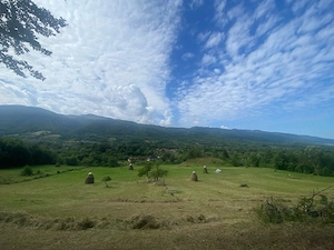Teren intravilan de vânzare   33.070 mp   Bucova, Caraș-Severin - imagine 3