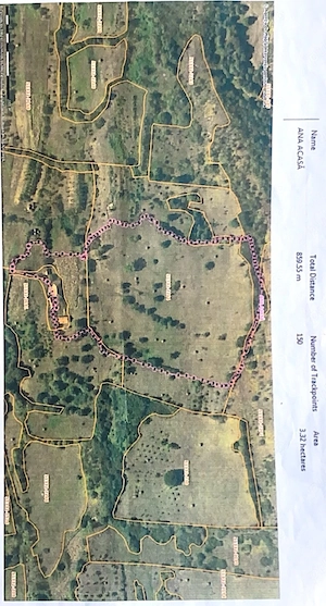 Teren intravilan de vânzare   33.070 mp   Bucova, Caraș-Severin - imagine 4