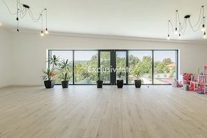 VILA PREMIUM / PISCINA / BANESTI / PH - imagine 20