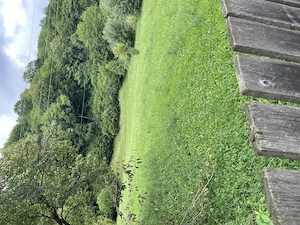 Teren 4040 mp Lunca Gârtii (Stoenești - Dragoslavele), teren în plan drept , curent la poartă, desch - imagine 3