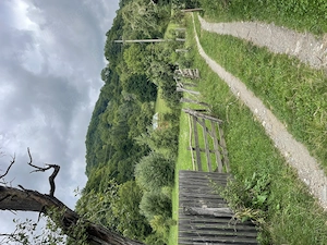 Teren 4040 mp Lunca Gârtii (Stoenești - Dragoslavele), teren în plan drept , curent la poartă, desch - imagine 2